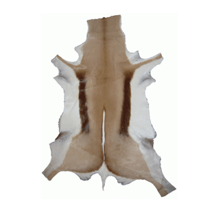 Skindtæppe af springbuk. Dette fine skindtæppe kan let pynte på stuegulvet, kontoret eller andet sted.